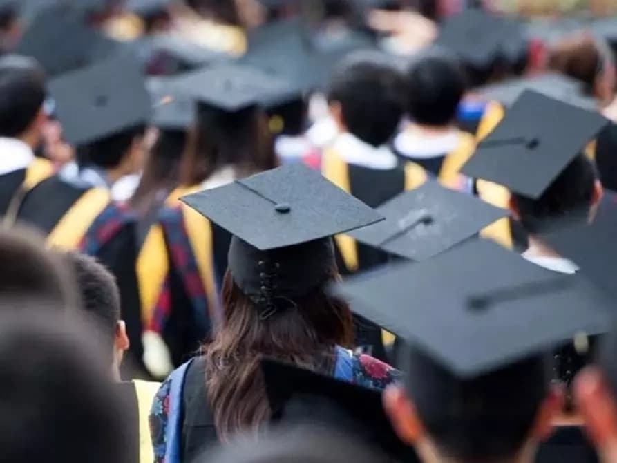 Universitäten vor der Umstrukturierung