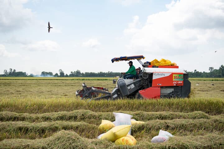 Das Mekong-Delta: Ein Paradies in Gefahr