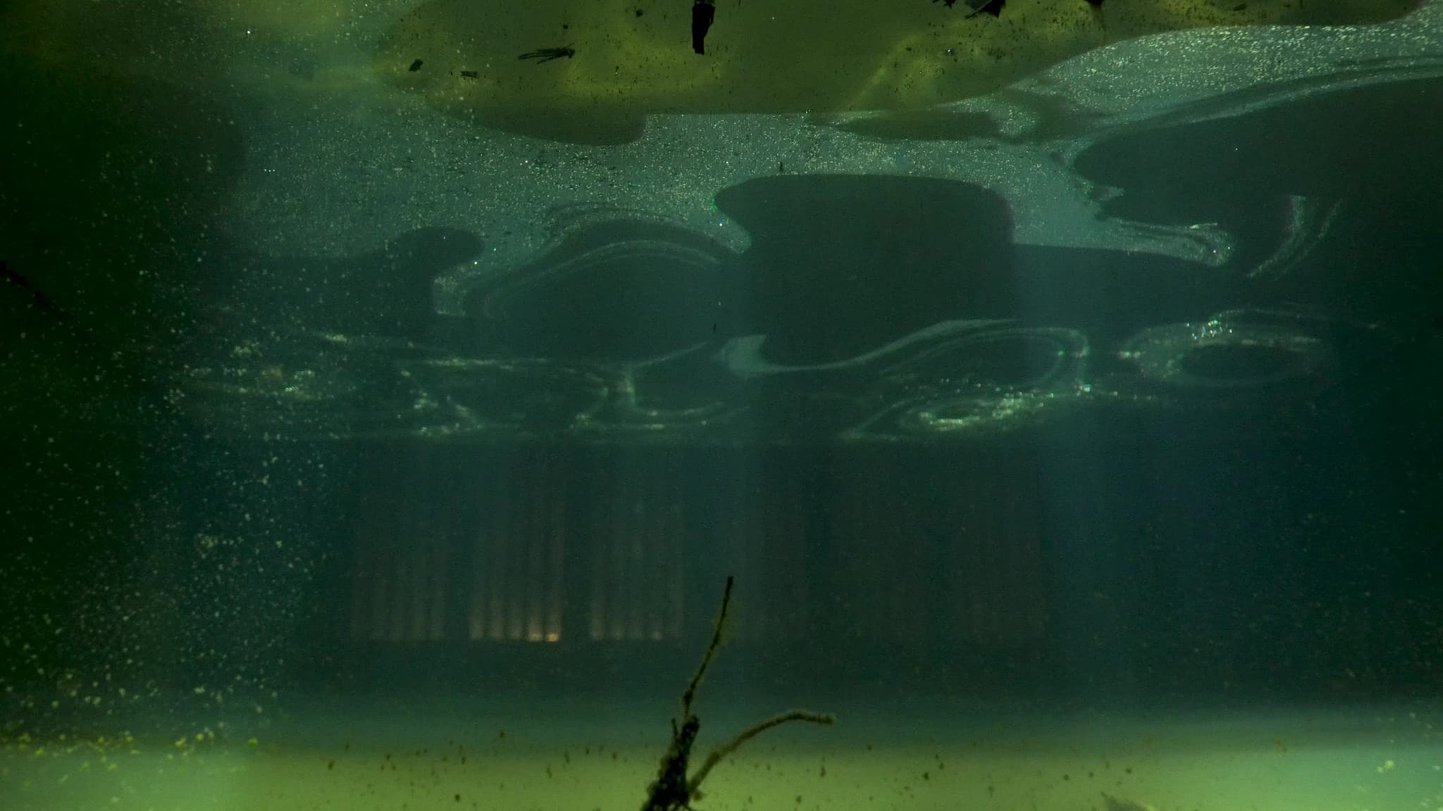 Wasser als Symbol für Trauma und Erinnerung in Quếs Kunst
