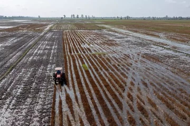 Das Mekong-Delta droht zu verschwinden