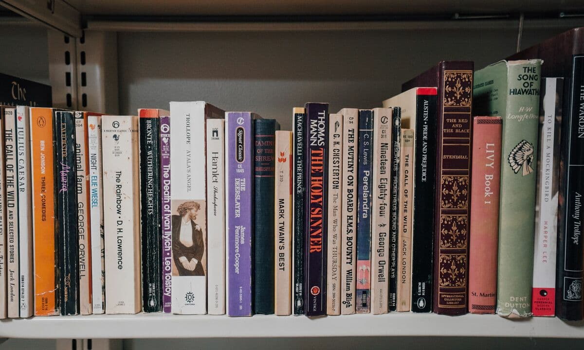 Firmen zerstören Millionen Bücher für KI