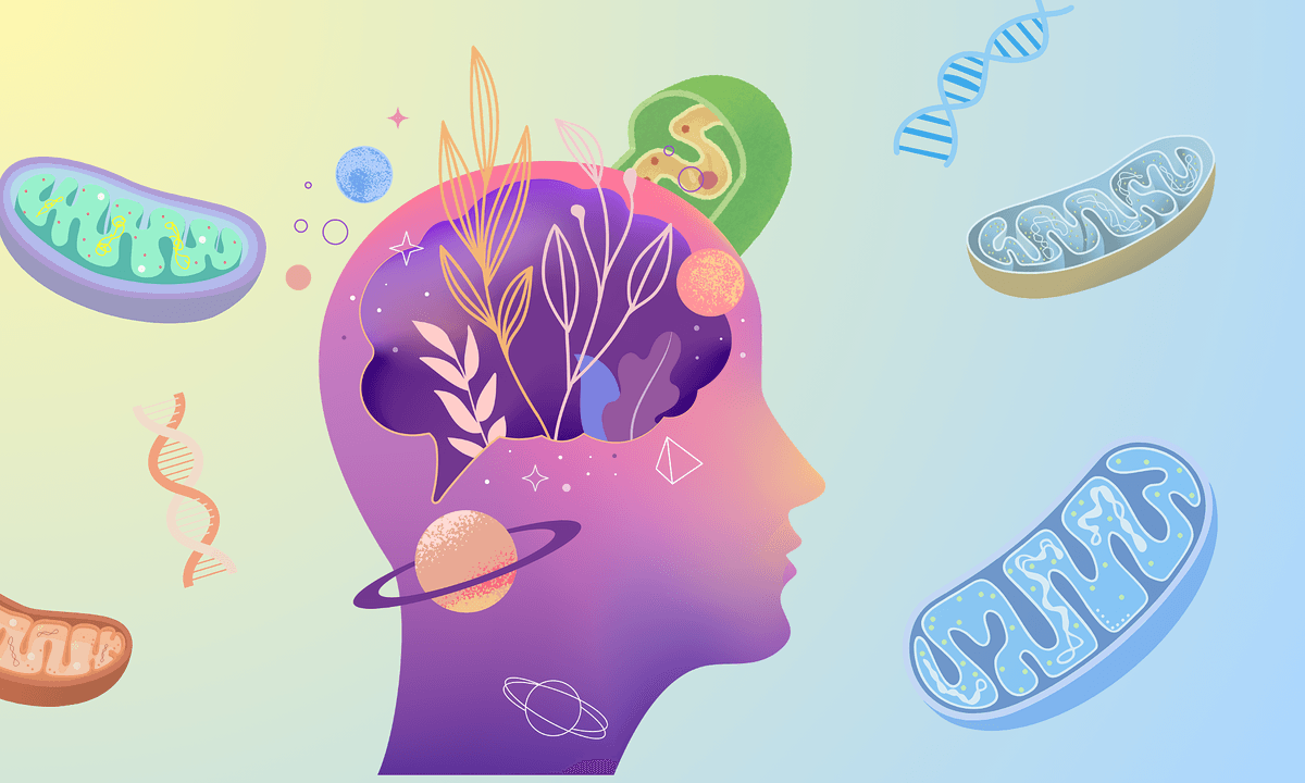 Mitochondrien: Die Verbindung zwischen Körper und Gefühlen