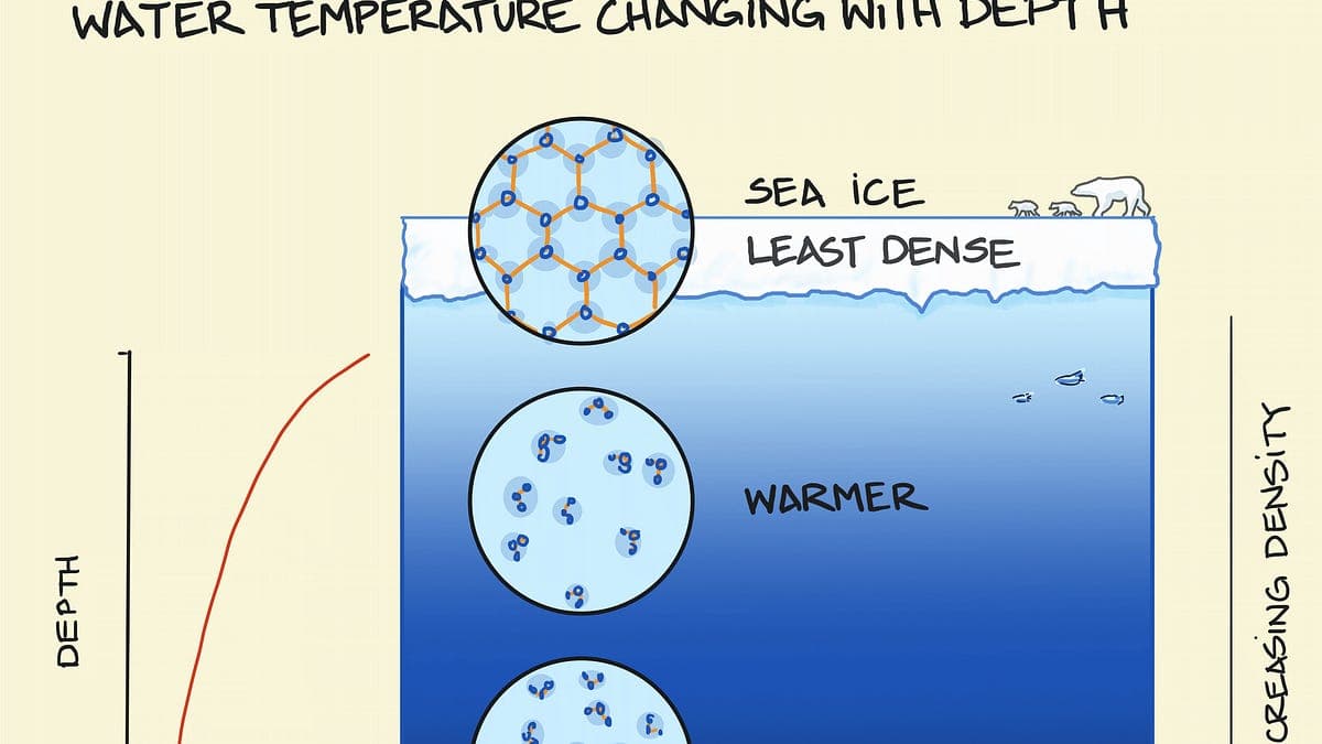 Die Thermokline: Temperatur und Dichte im Ozean